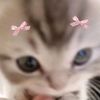 pwettylove_u3