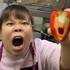 ohymysajaka