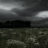 trongduongiu._