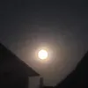 sam_laukert123