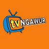 TV NGAWUR
