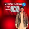 zeeshans308