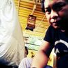 dofirdimas52