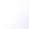 persic_zxc