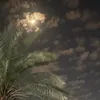 1212o43