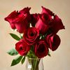 javeriazahid255