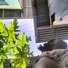 ronilinoc0
