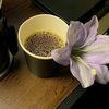 rana_q142
