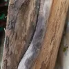 gabrielkociski7