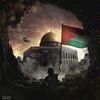 umar.ali3409