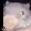 nikkk666666