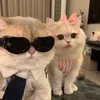 caothinguyetanh05