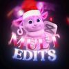mult_edits_official