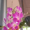 huongnguyen0290