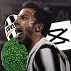 La tana del cespuglio 🌳
