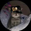 anomaligame478