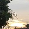 dkchcaa_
