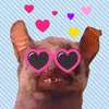 mys_pys6