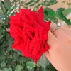 farasha9336