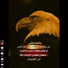 user94215857586294