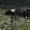 65_rr0