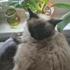 reinhardwilhelm2