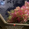 user2981672573439