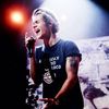 harrysamericanbandana