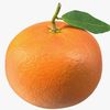 amin.mandarin