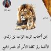 user76772042528842