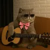 atylaofficial
