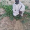 mahamoudalhaj