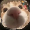 riiki_1009