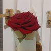 lamia.hashim8
