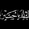 bxer_n