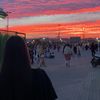 lilies_102
