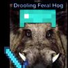 drooling_feral_hog2