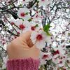user14533504315847