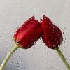 .aa__22