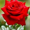 user171928107