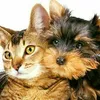 user4218085618431
