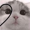 _date.cuenta_6