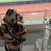 tojik_16