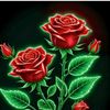 user2087584308615