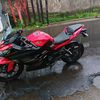 duren6791