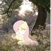 li1._5