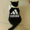 kz.meow210
