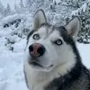 ooollbylbbaa