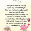 dng.86bt