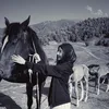 adinaiym__1